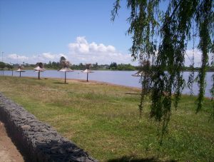 federacion