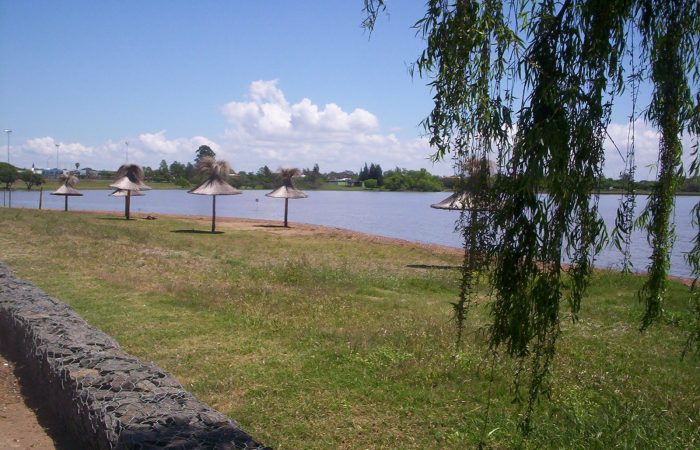 federacion